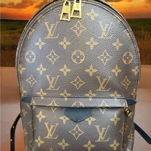 Louis Vuitton Monogram Palm Springs Backpack PM - Picture 3 of 17